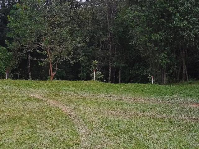 Sítio e chácara venda em Região Geográfica Imediata de Florianópolis, São José