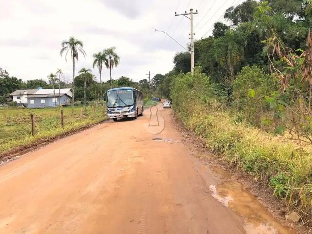 Sítio e chácara venda em Região Geográfica Imediata de Novo Hamburgo - São Leopoldo, Região Metropolitana de Porto Alegre