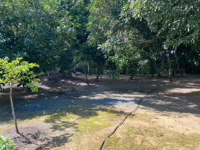 Sítio e chácara venda em Região Geográfica Imediata do Recife, Região Metropolitana do Recife