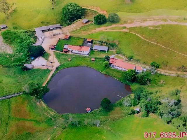 Sítio e chácara venda em Região Geográfica Imediata de São Lourenço, São Lourenço