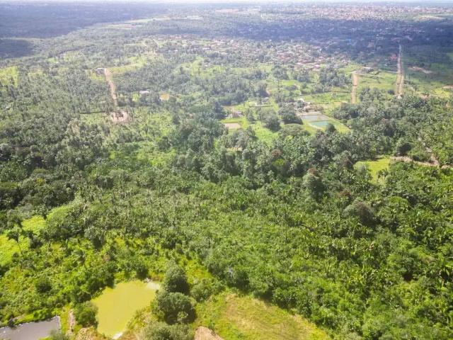 Sítio e chácara venda em Região Geográfica Imediata de São Luís, Nazaré