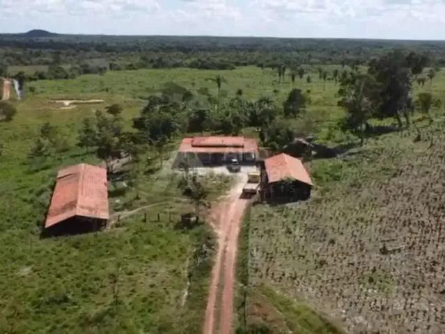 Sítio e chácara venda em Região Geográfica Imediata de São Luís, Nazaré