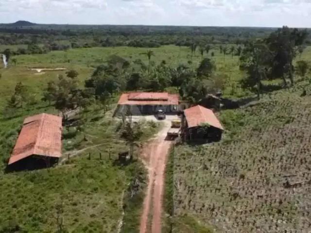 Sítio e chácara venda em Região Geográfica Imediata de São Luís, Nazaré