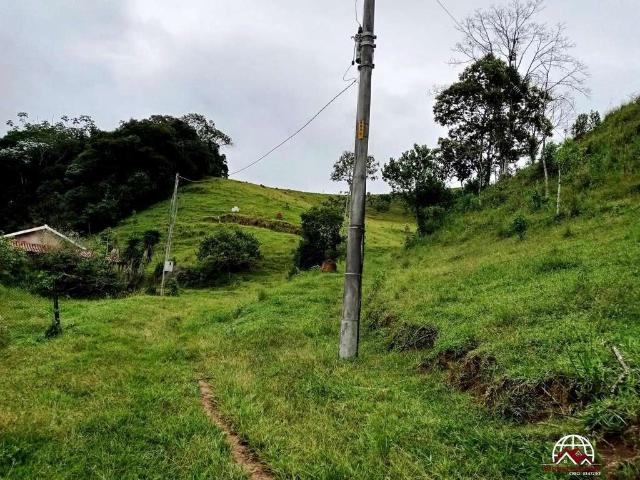 Sítio e chácara venda em Região Imediata de Taubaté-Pindamonhangaba, Região Metropolitana do Vale do Paraíba e Litoral Norte