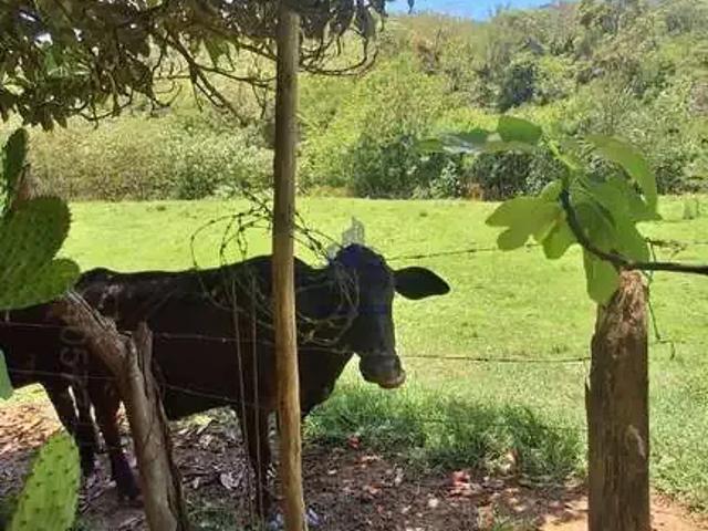 Sítio e chácara venda em Região Imediata de Taubaté-Pindamonhangaba, Região Metropolitana do Vale do Paraíba e Litoral Norte