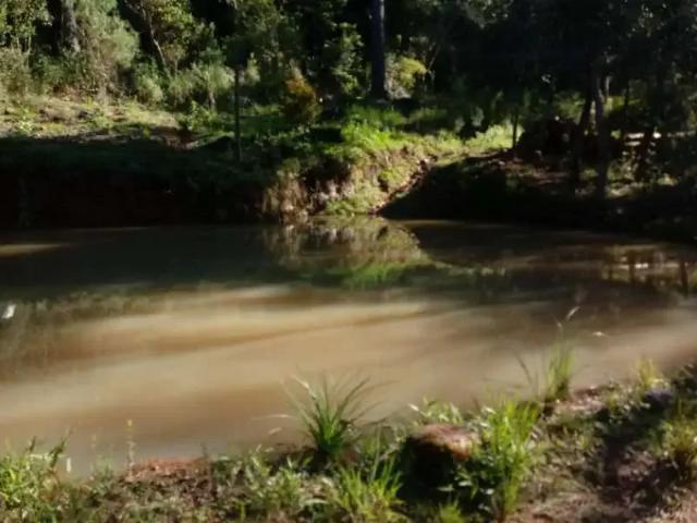 Sítio e chácara venda em Região Geográfica Imediata de Caxias do Sul, São Marcos