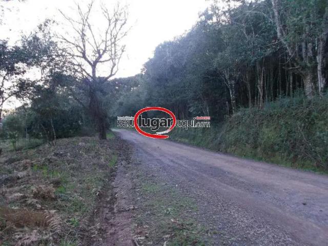 Sítio e chácara venda em Região Geográfica Imediata de Caxias do Sul, São Marcos