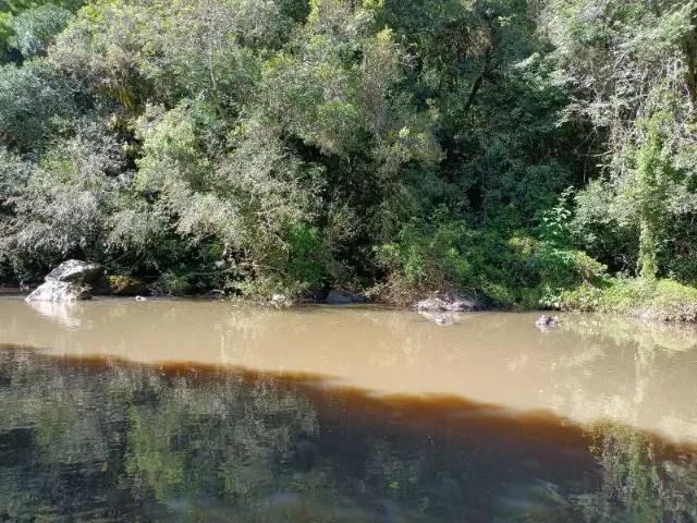 Sítio e chácara venda em Região Geográfica Imediata de Caxias do Sul, São Marcos