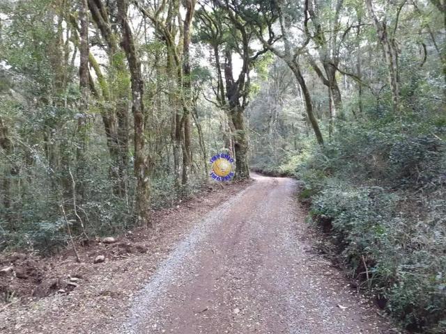 Sítio e chácara venda em Região Geográfica Imediata de Caxias do Sul, São Marcos