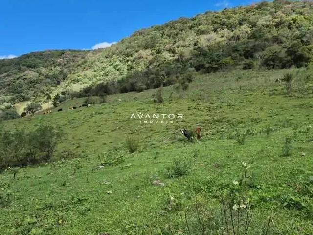 Sítio e chácara venda em Região Geográfica Imediata de Santa Maria, São Martinho da Serra