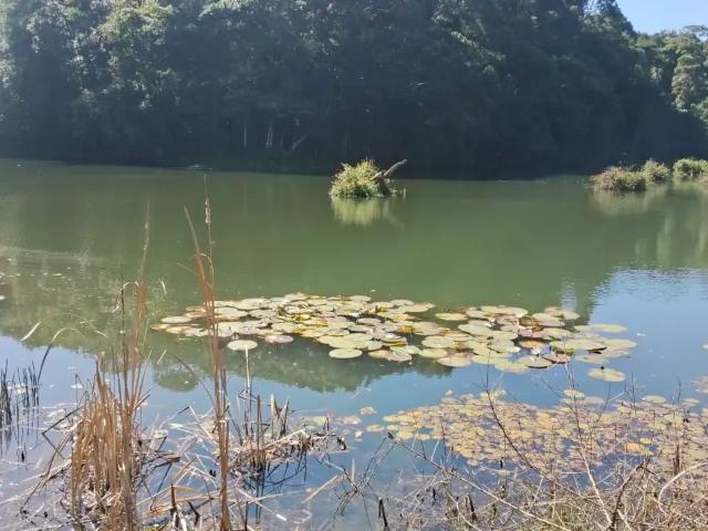 Sítio e chácara venda em São Miguel Arcanjo