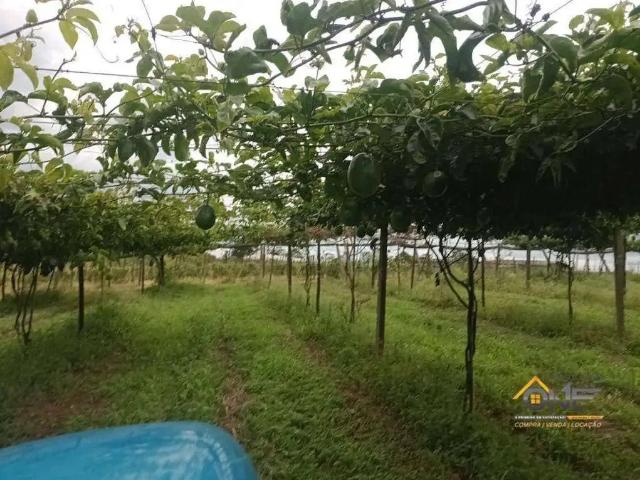 Sítio e chácara venda em Região Imediata de Itapetininga, Região Metropolitana de Sorocaba
