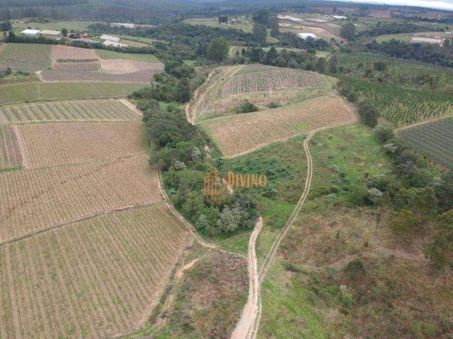 Sítio e chácara venda em Região Imediata de Itapetininga, Região Metropolitana de Sorocaba