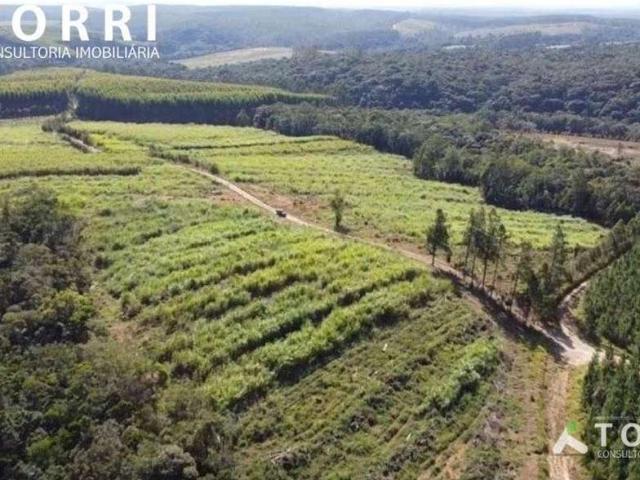 Sítio e chácara venda em Região Imediata de Itapetininga, Região Metropolitana de Sorocaba