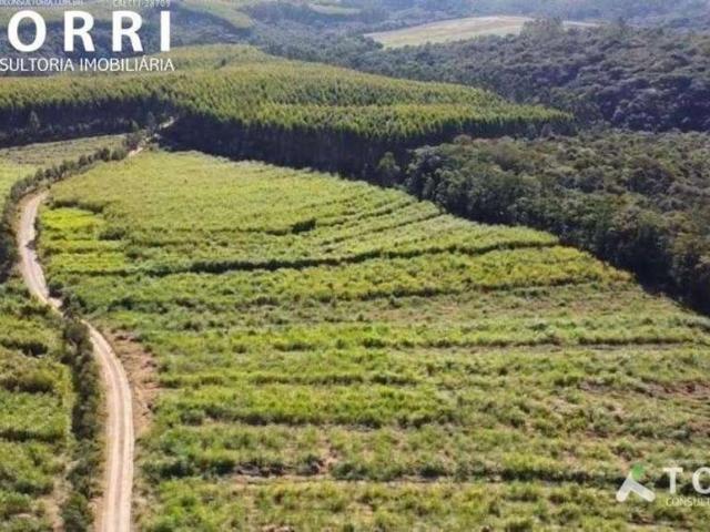 Sítio e chácara venda em Região Imediata de Itapetininga, Região Metropolitana de Sorocaba