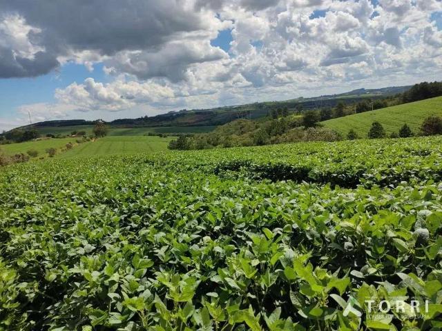 Sítio e chácara venda em Região Imediata de Itapetininga, Região Metropolitana de Sorocaba