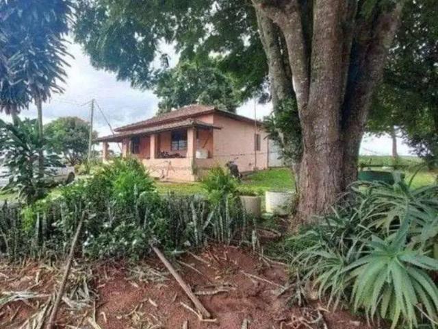 Sítio e chácara venda em São Miguel Arcanjo