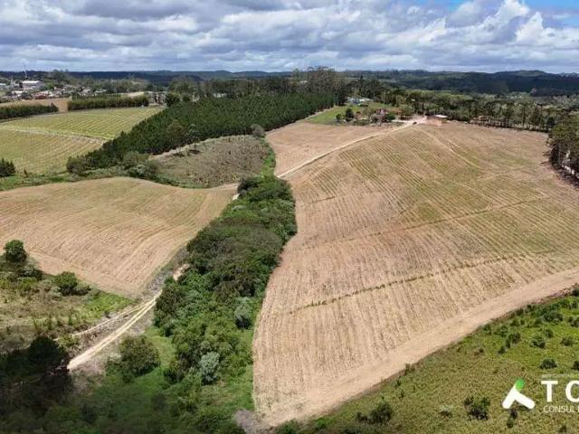 Sítio e chácara venda em São Miguel Arcanjo