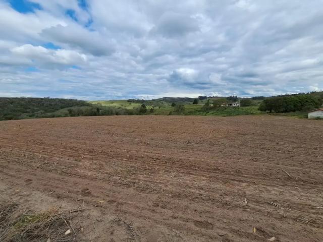 Sítio e chácara venda em São Miguel Arcanjo