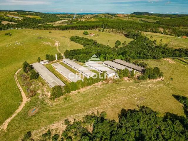 Sítio e chácara venda em São Miguel Arcanjo