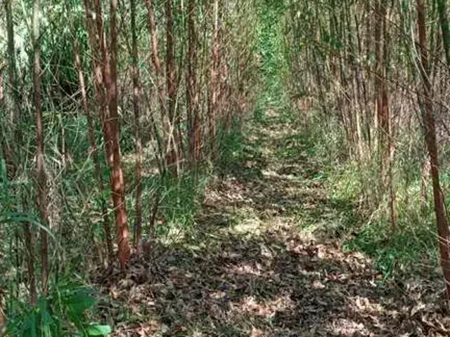 Sítio e chácara venda em Região Imediata de Itapetininga, Região Metropolitana de Sorocaba