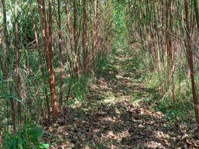 Sítio e chácara venda em Região Imediata de Itapetininga, Região Metropolitana de Sorocaba