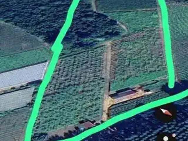 Sítio e chácara venda em São Miguel Arcanjo