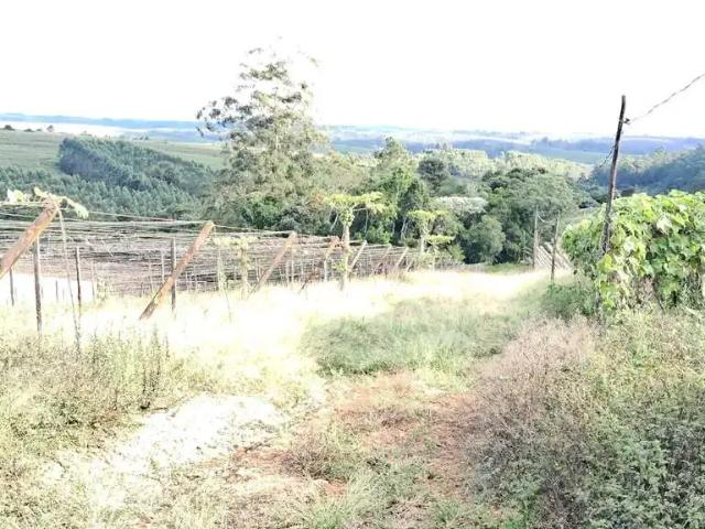 Sítio e chácara venda em Região Imediata de Itapetininga, Região Metropolitana de Sorocaba
