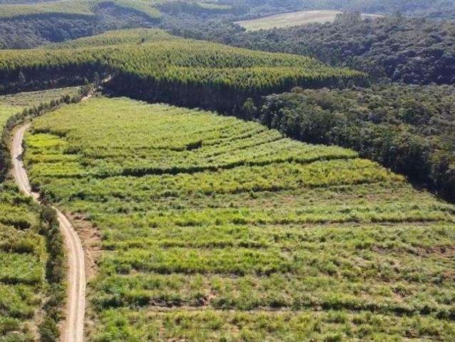 Sítio e chácara venda em Região Imediata de Itapetininga, Região Metropolitana de Sorocaba