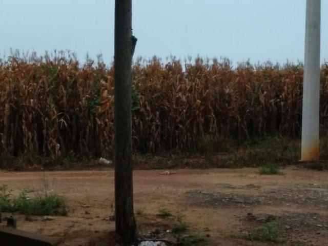 Sítio e chácara venda em Região Imediata de Itapetininga, Região Metropolitana de Sorocaba