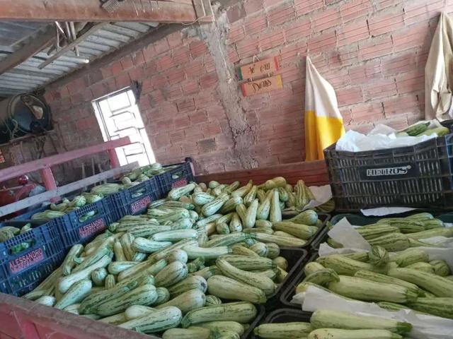 Sítio e chácara venda em Residencial Alvorada, São Miguel Arcanjo