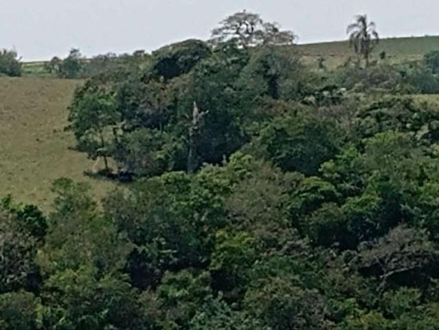 Sítio e chácara venda em Região Imediata de Itapetininga, Região Metropolitana de Sorocaba