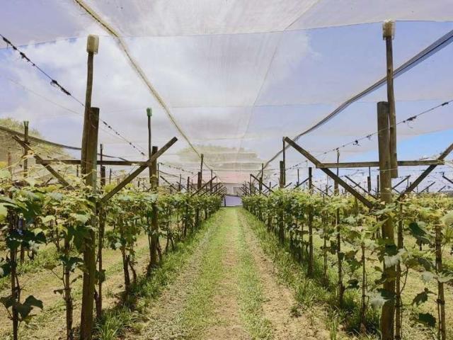 Sítio e chácara venda em Região Imediata de Itapetininga, Região Metropolitana de Sorocaba