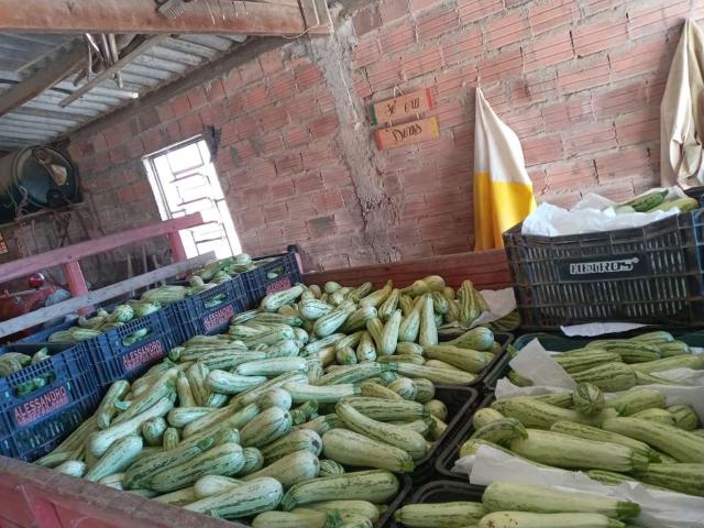 Sítio e chácara venda em Região Imediata de Itapetininga, Região Metropolitana de Sorocaba