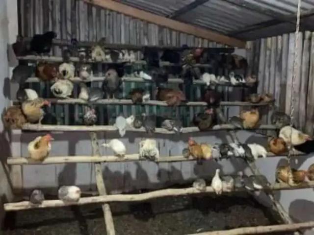 Sítio e chácara venda em Região Imediata de Itapetininga, Região Metropolitana de Sorocaba