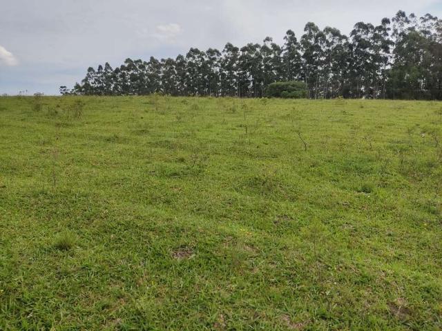 Sítio e chácara venda em Região Imediata de Itapetininga, Região Metropolitana de Sorocaba