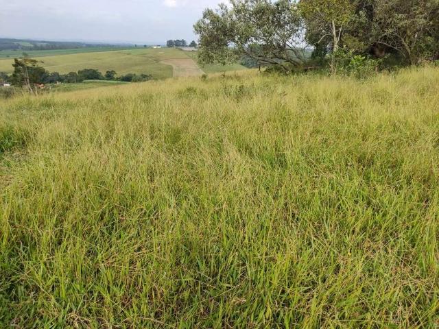 Sítio e chácara venda em Região Imediata de Itapetininga, Região Metropolitana de Sorocaba