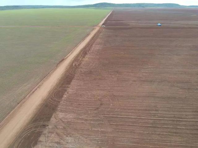 Sítio e chácara venda em Região Geográfica Imediata de Porangatu, São Miguel do Araguaia