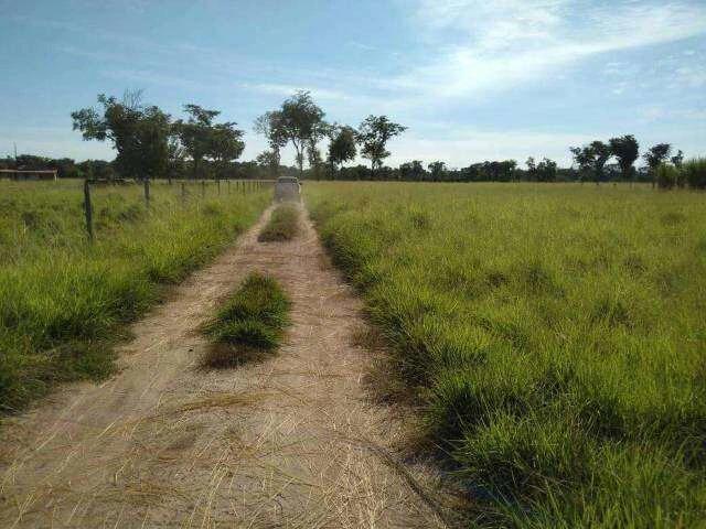 Sítio e chácara venda em Vila Tolentino, São Miguel do Araguaia