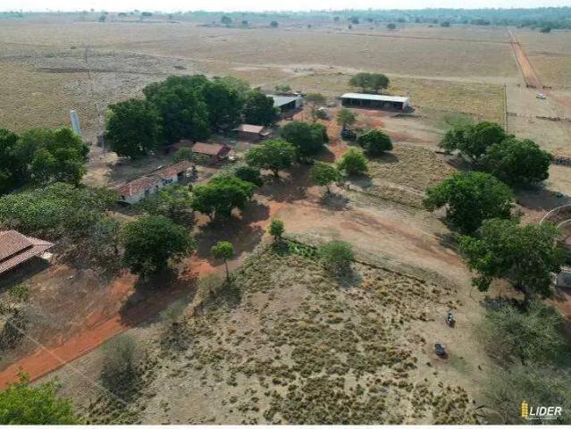 Sítio e chácara venda em Região Geográfica Imediata de Porangatu, São Miguel do Araguaia