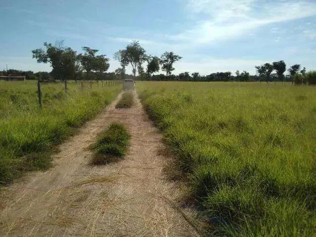 Sítio e chácara venda em Região Geográfica Imediata de Porangatu, São Miguel do Araguaia