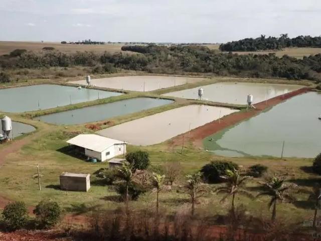 Sítio e chácara venda em Região Geográfica Imediata de Foz do Iguaçu, São Miguel do Iguaçu