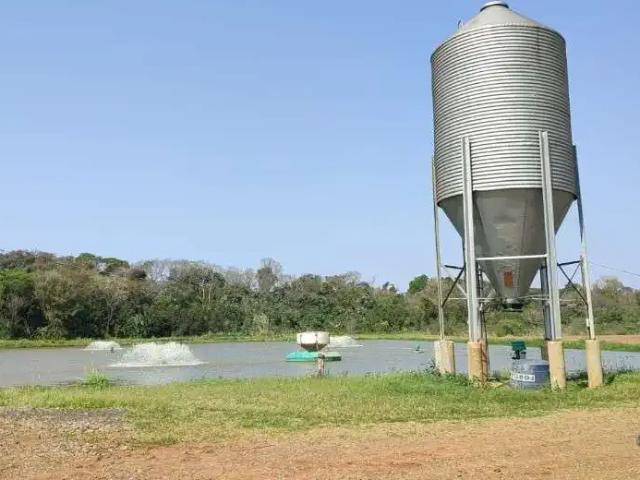 Sítio e chácara venda em Região Geográfica Imediata de Foz do Iguaçu, São Miguel do Iguaçu