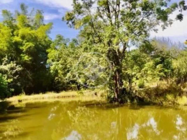 Sítio e chácara venda em São Miguel do Passa Quatro, Região Geográfica Intermediária de Goiânia