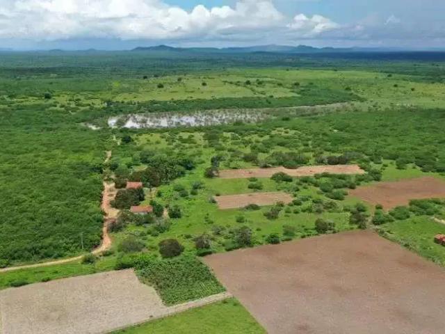 Sítio e chácara venda em Região Geográfica Imediata de Natal, São Pedro