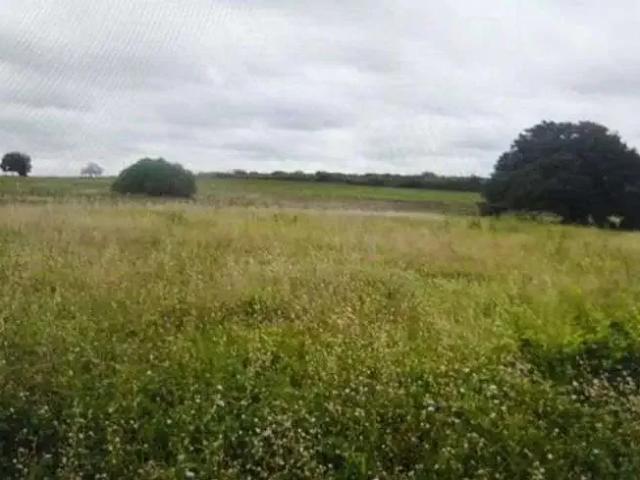 Sítio e chácara venda em Região Geográfica Imediata de Natal, São Pedro