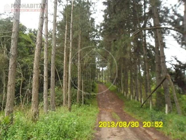 Sítio e chácara venda em Região Imediata de São Paulo, Região Metropolitana de São Paulo