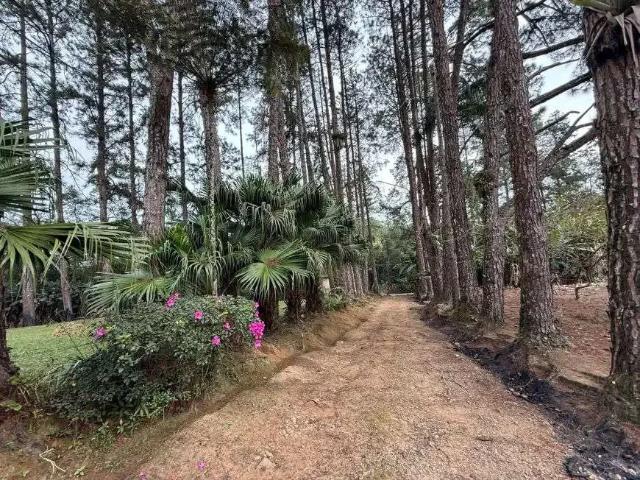Sítio e chácara venda em Região Imediata de São Paulo, Região Metropolitana de São Paulo