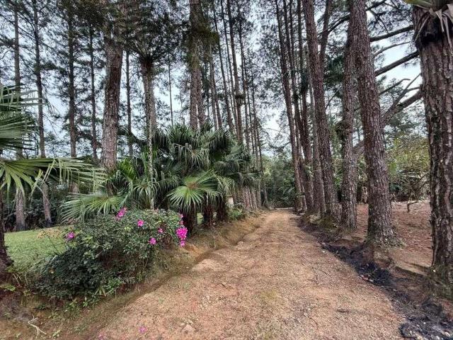 Sítio e chácara venda em Região Imediata de São Paulo, Região Metropolitana de São Paulo