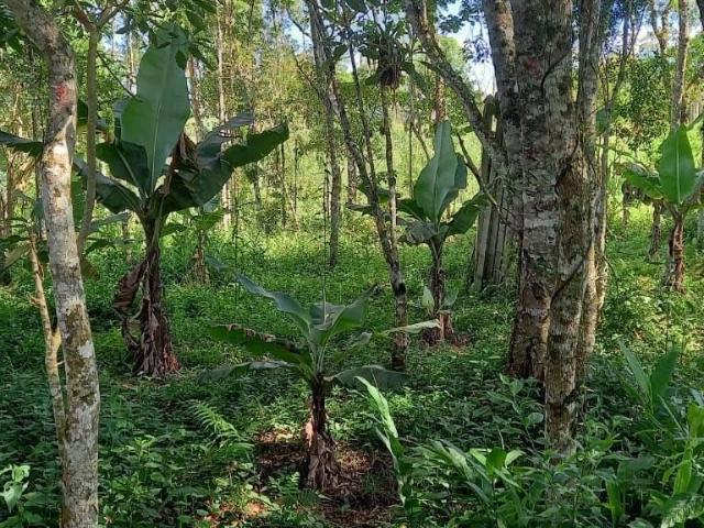 Sítio e chácara venda em Marsilac, São Paulo